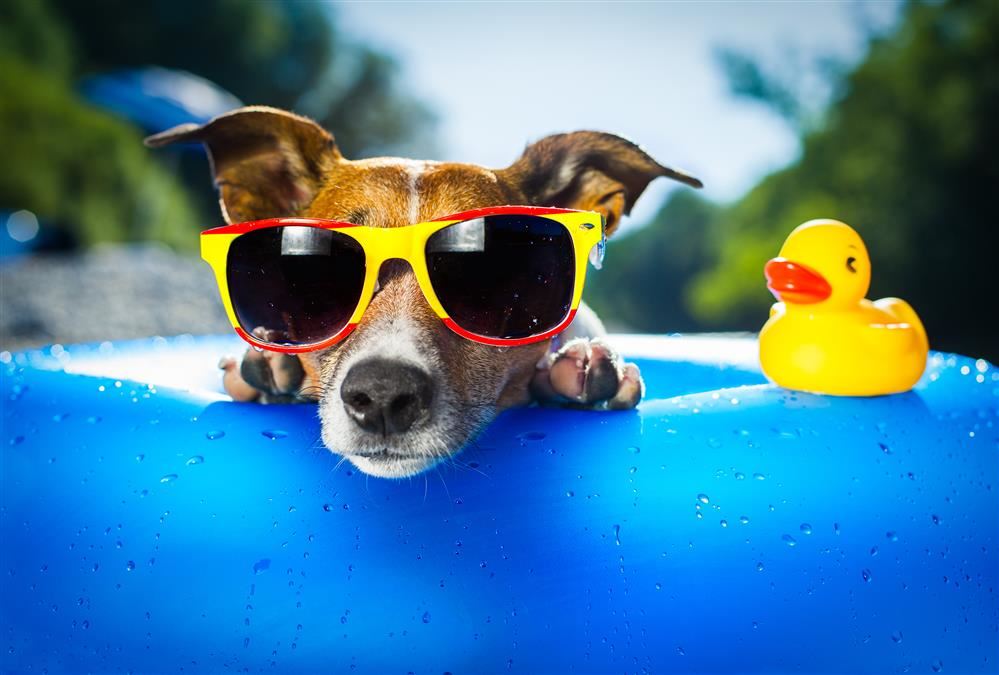 Summertime image